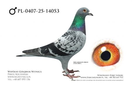 PL-0407-25-14053: TEAM ROGULSKI&ZYGA, m in 42m