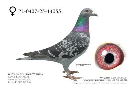 PL-0407-25-14055: TEAM ROGULSKI&ZYGA