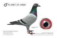 PL-0407-25-14060: TEAM ROGULSKI&ZYGA, 6. Lotnik, m in 20m, 2m z FINAŁU