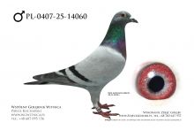 PL-0407-25-14060: TEAM ROGULSKI&ZYGA, 6. Lotnik, m in 20m, 2m z FINAŁU