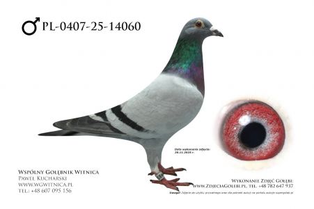 PL-0407-25-14060: TEAM ROGULSKI&ZYGA, 6. Lotnik, m in 20m, 2m z FINAŁU