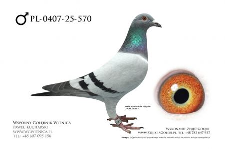 PL-0407-25-570: Marek Razik