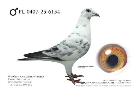 PL-0407-25-6154: Marek Razik, m in 26m z FINAŁU