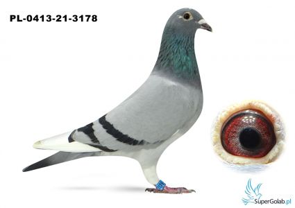 PL-0413-21-3178 Maciejewscy JiB