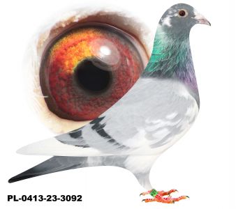 PL-0413-23-3092-100% Szkolny