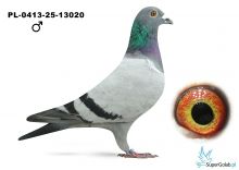 PL-0413-25-13020 Grzegorz Pawłowski - 26 lotnik