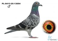 PL-0413-25-13054  Artur Naculak