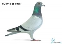 PL-0413-25-6075 29. OKRĘG KALISZ