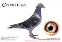 PL-0414-17-6337