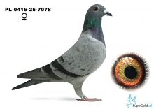 PL-0416-25-7078 Klage Wolfgang