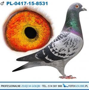 PL-0417-15-8531 - Jaworscy Michalak