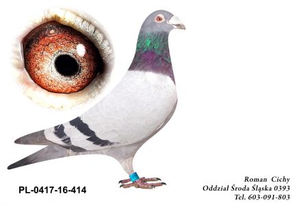 PL-0417-16-414  org. A. Stępień