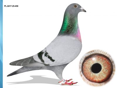 PL-0417-25-458 100% IKD ŁEPUCH