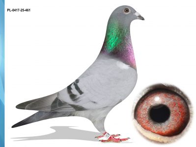 PL-0417-25-461 100 % IKD ŁEPUCH