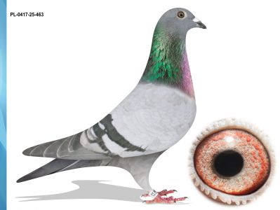 PL-0417-25-463 100 % IKD ŁPEUCH