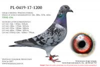 PL-0419-17-1200