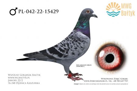 PL-042-22-15429: Nadolski Piotr, 97. Lotnik, m.in. 63m., 80m. z FINAŁU