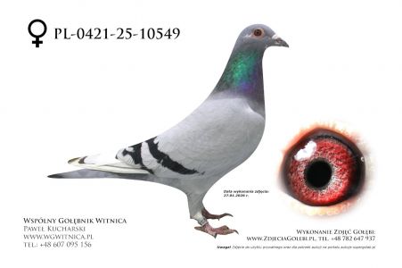 PL-0421-25-10549: Mariusz Pietkiewicz, 83. Lotnik