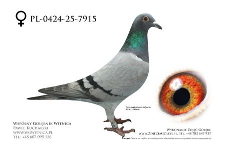 PL-0424-25-7915: Ireneusz Kowalczyk