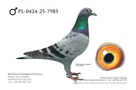 PL-0424-25-7985: Ireneusz Kowalczyk, 87. Lotnik