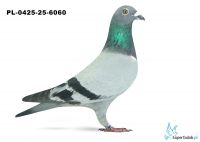 PL-0425-25-6060 13. OKRĘG PIŁA