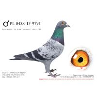 PL-0438-15-9791, z hodowli Karol Gardulski, 100% De Klak