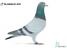 PL-0438-21-475