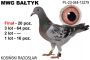 PL-044-23-13279: Kosinski Radoslaw, 9. Lotnik, m in 16m, 8m, 64m, 20m z FINAŁU Gołąb z hodowli: Kosinski Radoslaw. 9 Lotnik