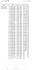 PL-0440-21-1757 LOTOWANY Linia TYSON R&D Faber x Linia 1 Lotnik WG 2022r. oraz 2023r.