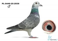 PL-0440-25-2939
