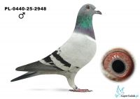 PL-0440-25-2948 - 100 % MTM Pałka