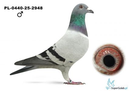 PL-0440-25-2948 - 100 % MTM Pałka