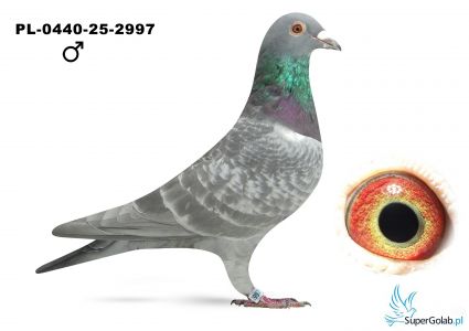 PL-0440-25-2997