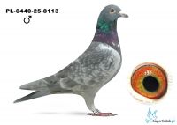PL-0440-25-8113