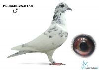 PL-0440-25-8158