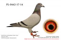 PL-0442-17-14