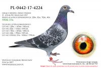PL-0442-17-4224
