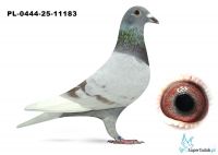 PL-0444-25-11183..