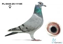 PL-0444-25-11185