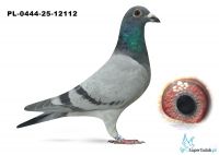 PL-0444-25-12112