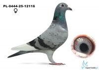PL-0444-25-12116