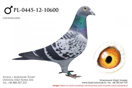 PL-0445-12-10600- samczyk