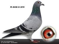 PL-0450-15-3276