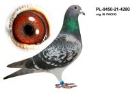 PL-0450-21-4280 org. M. PACHO