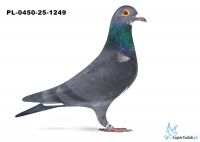 PL-0450-25-1249