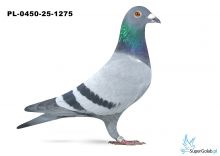 PL-0450-25-1275