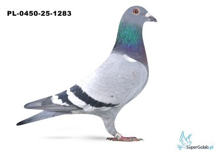 PL-0450-25-1283