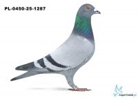 PL-0450-25-1287