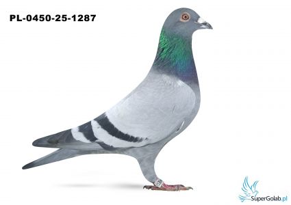 PL-0450-25-1287