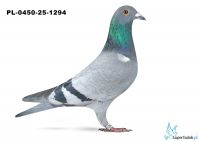 PL-0450-25-1294